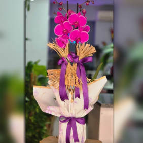  Antalya Çiçek Pembe orkide