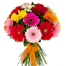  Kepeze çiçek KARIŞIK GERBERA BUKETİ